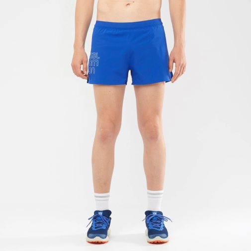 Blue Salomon Cross 3'' Men's Shorts | IE PG9528